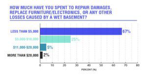 The Financial and Health Costs of Living with a Wet Basement