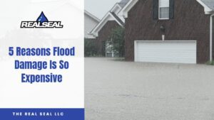 5 Reasons Flood Damage Is So Expensive
