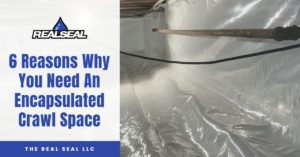 6 Reasons Why You Need An Encapsulated Crawl Space