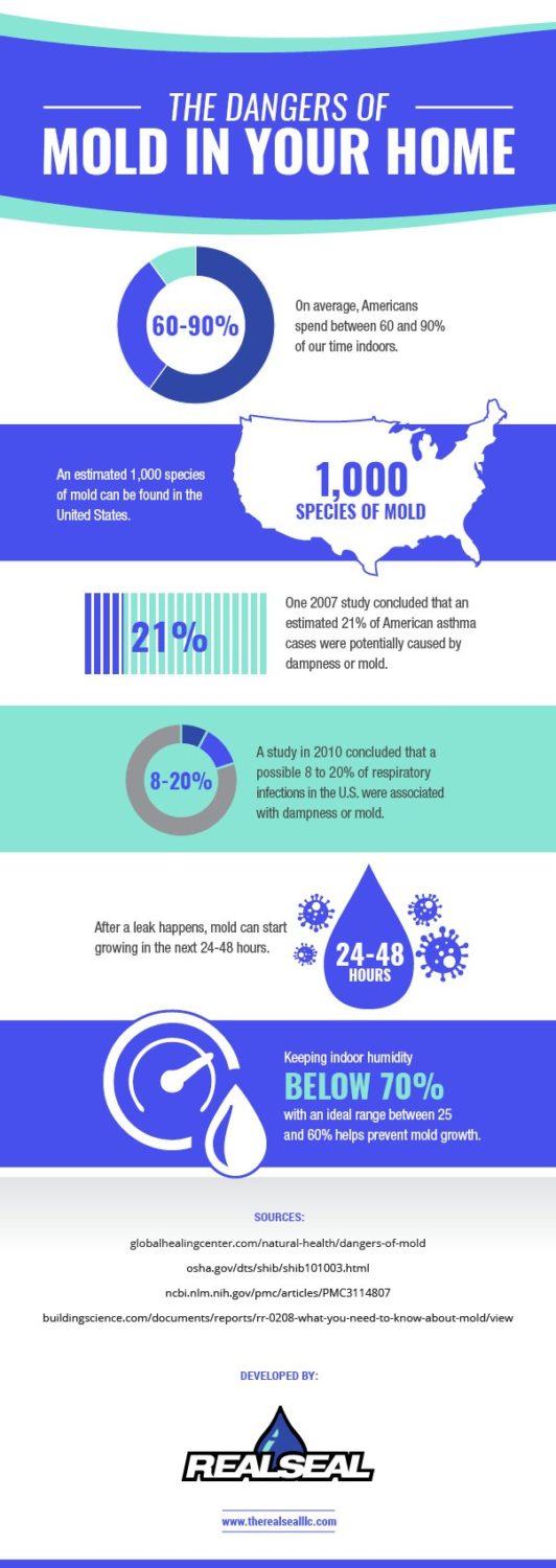 Do You Know the Dangers of Mold in the Home?