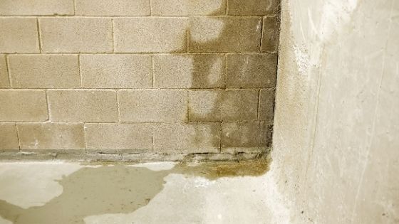 How To Inspect Your Basement for Issues