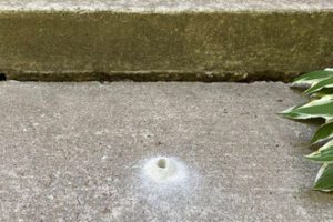 Concrete Leveling