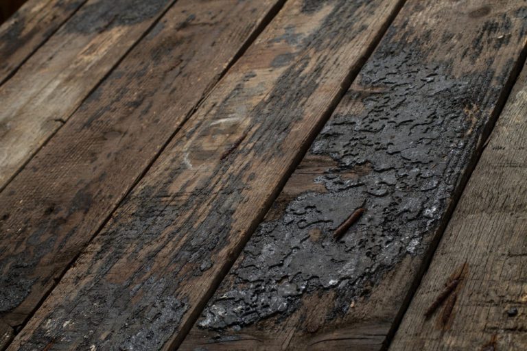 Dry rotting wood timbers with rusted nails in sunrise lighting on an old farm structure.