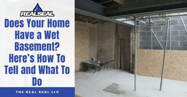 Does Your Home Have a Wet Basement_ Here’s How To Tell and What To Do