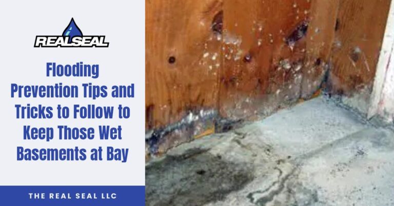 Flooding Prevention Tips and Tricks to Follow to Keep Those Wet Basements at Bay featured