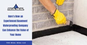 Here’s How an Experienced Basement Waterproofing Company Can Enhance the Value of Your Home
