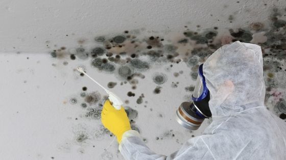 Health Hazards of a Wet Basement