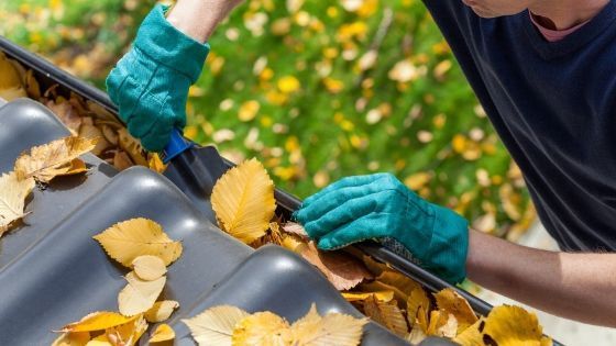 How Often Should I Clean My Gutters