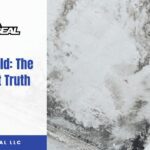 Snow Mold_ The Cold Soft Truth
