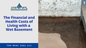 The Financial and Health Costs of Living with a Wet Basement