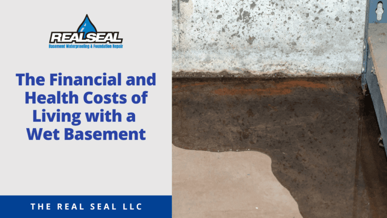 The Financial and Health Costs of Living with a Wet Basement