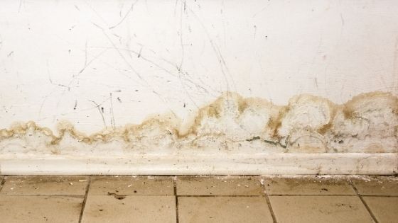 How To Control Moisture and Humidity in Your Basement