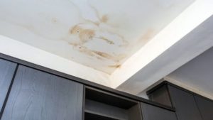 How To Identify Water Damage in a Prospective Home