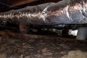 Water in Crawl Space