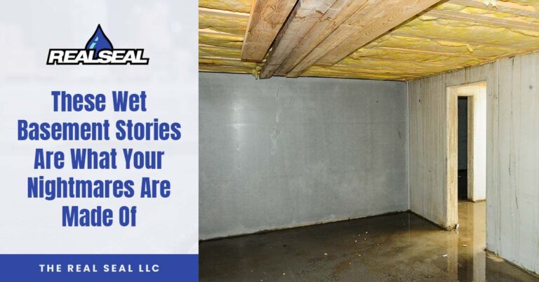 Wet Basement Stories