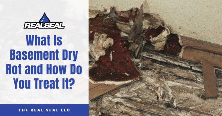 What Is Basement Dry Rot and How Do You Treat It
