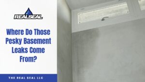 Where Do Those Pesky Basement Leaks Come From