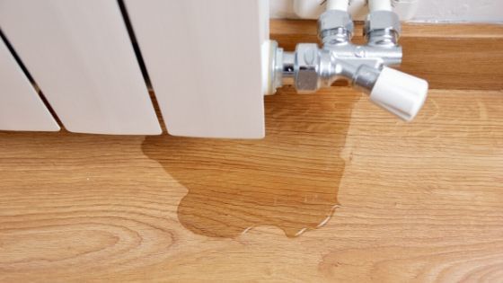 Why Water Leaks Could Cause Pests Problems