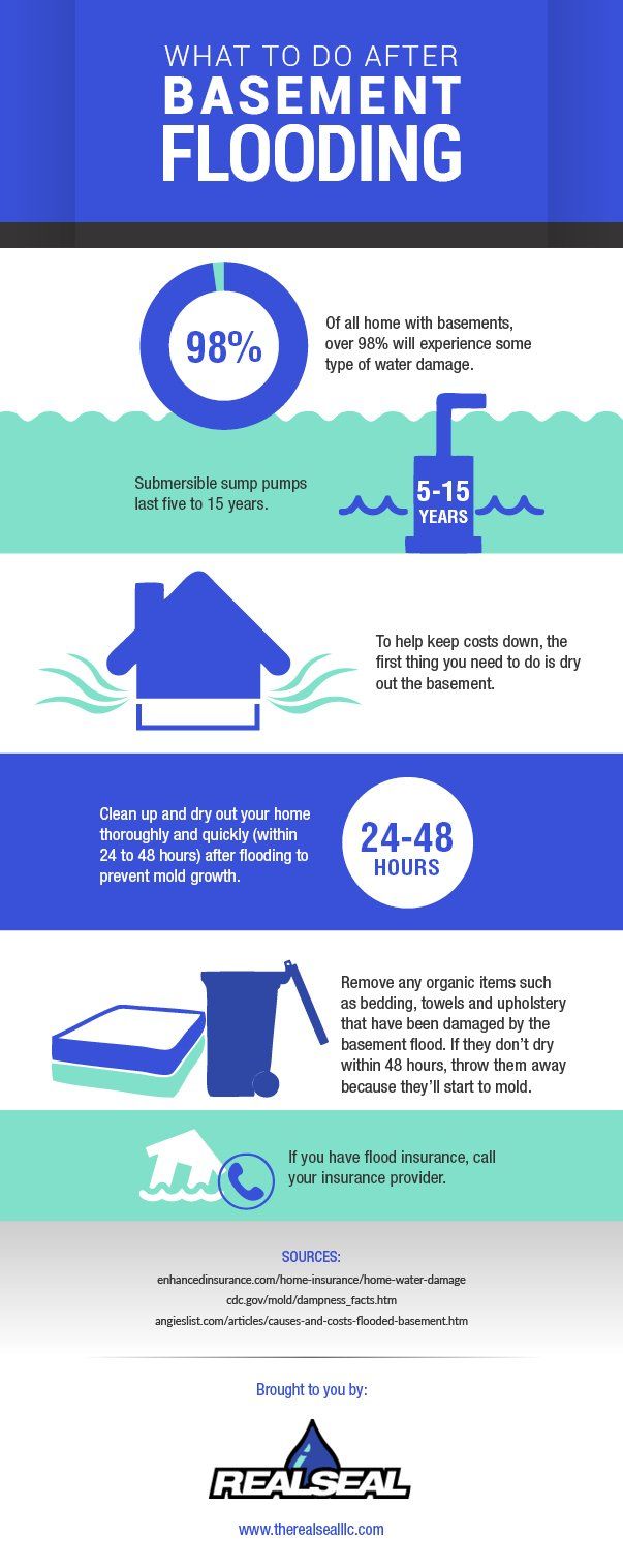 So, Your Basement Has Flooded...Now What?