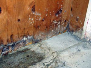 Foundation Care Mistakes To Avoid