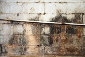 Common Reasons Why Your Basement is Wet and How You Can Fix It