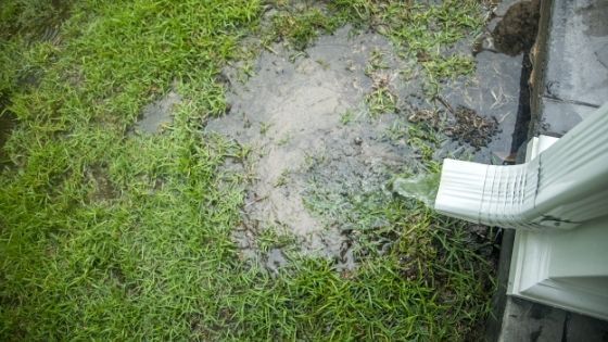 How Yard Drainage Affects Your Foundation