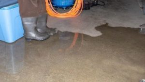 Steps to Take After a Basement Flood