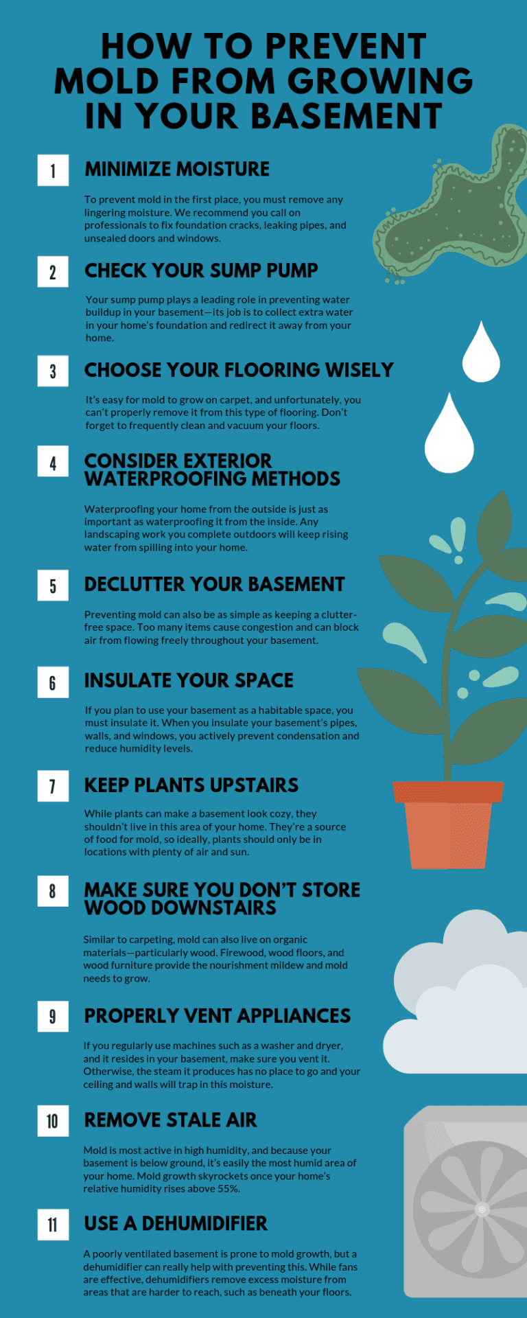 How to Prevent Mold from Growing in Your Basement