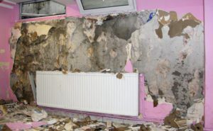 Common Causes of Basement Leaks