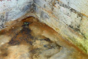 Steps to Take Following the Discovery of Basement Water Leaks