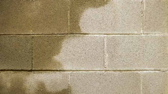 Steps To Take To Keep Your Basement Dry