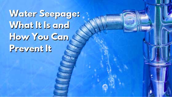 Water Seepage