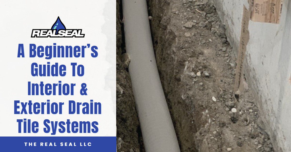 7 Water Management Solutions for Proper Drainage