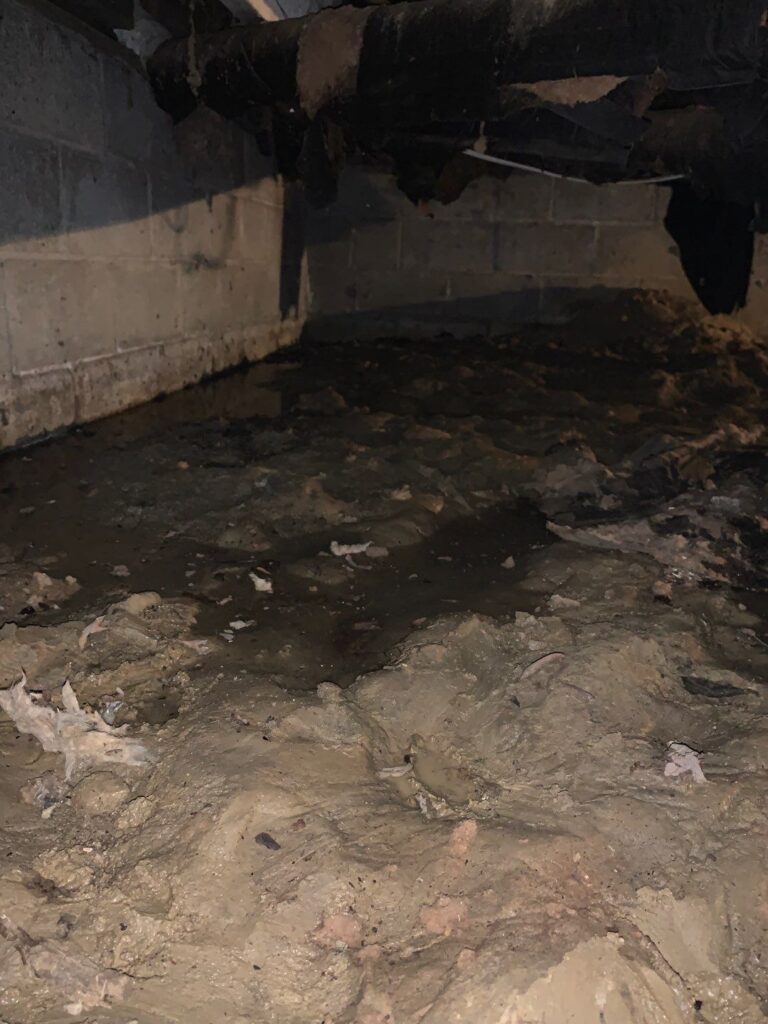 wet crawl space