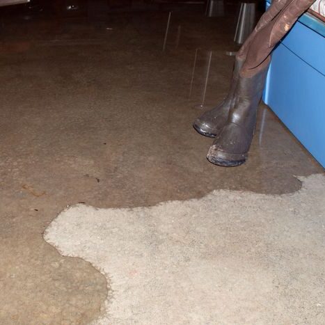 Wet Spots