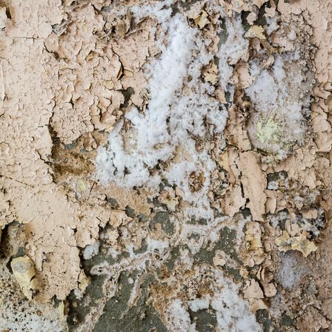 Efflorescence