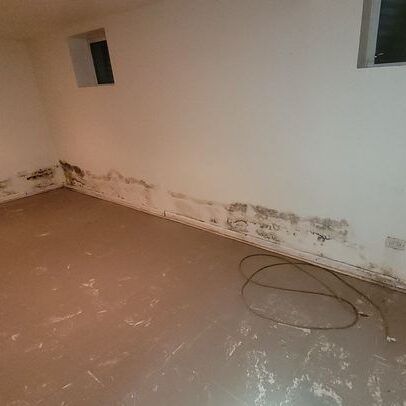 Mold