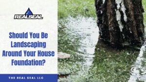 Should You Be Landscaping Around Your House Foundation_