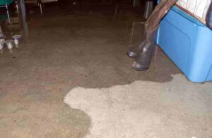 water in basement