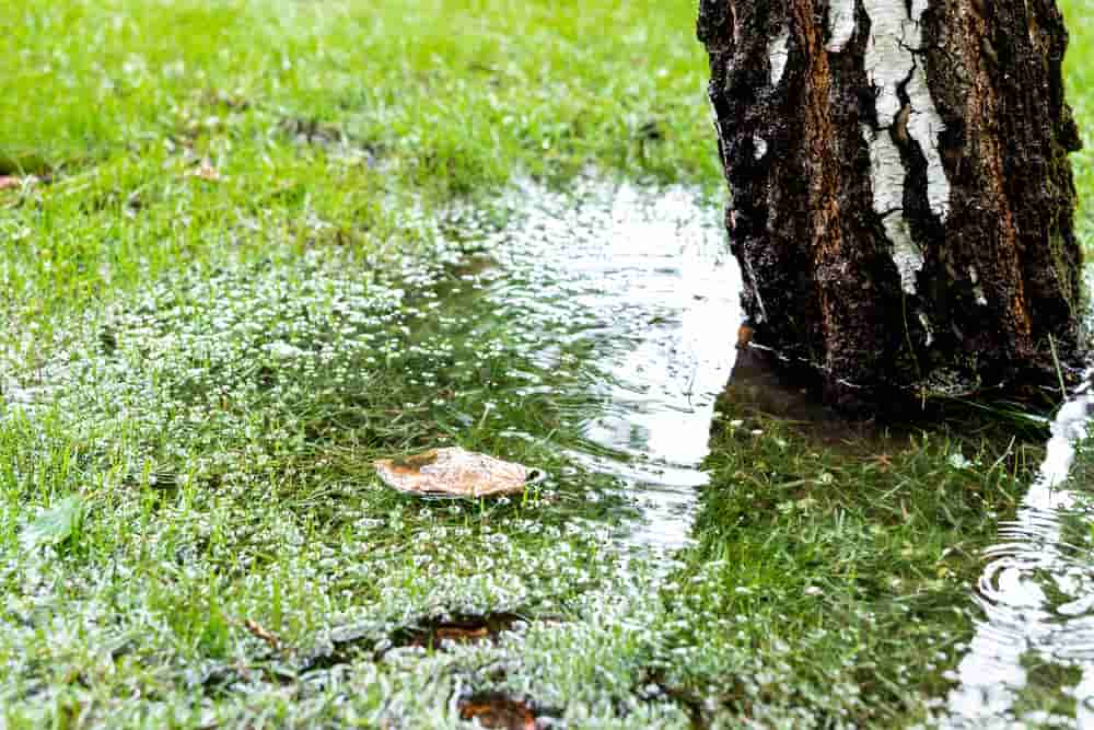 yard flooding