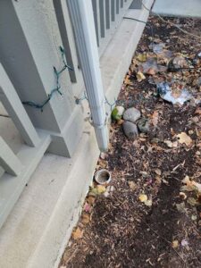 gutters