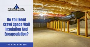Crawl Space Wall Insulation