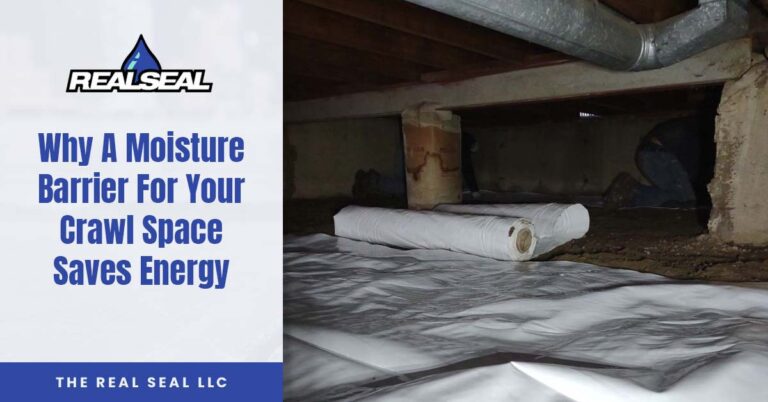 Why A Moisture Barrier For Your Crawl Space Saves Energy