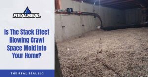 Is The Stack Effect Blowing Crawl Space Mold Into Your Home?