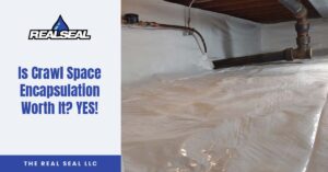 Is Crawl Space Encapsulation Worth It? YES!