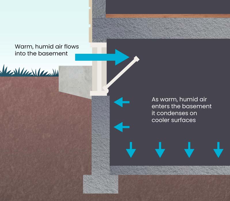 Dampness in a basement is caused by three main things: water infiltration, interior moisture sources like unvented clothes dryers, and open windows.