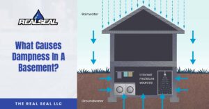 dampness in basement