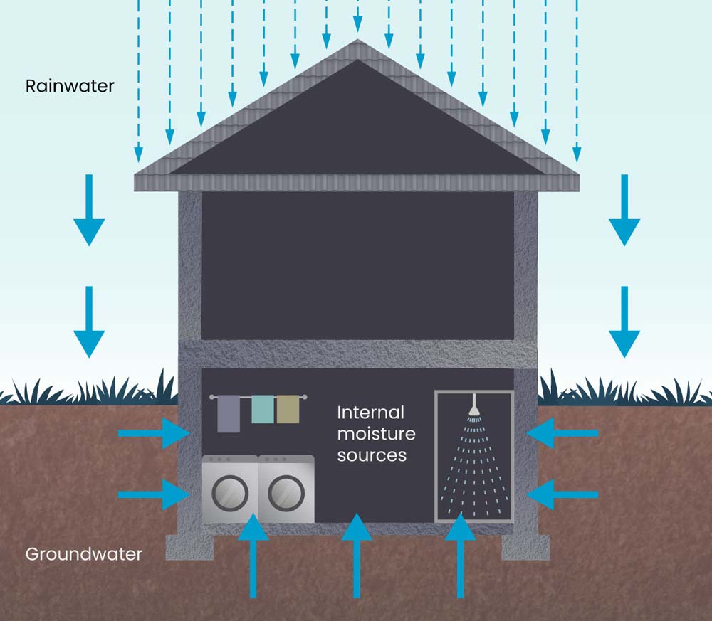 what causes dampness in a basement