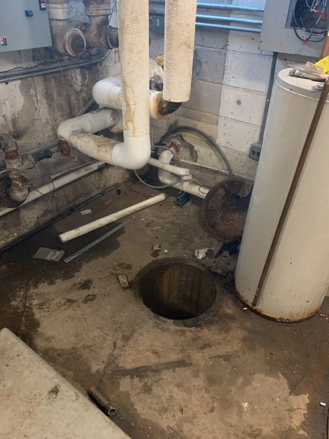 Likely Places Where You'll Find Mold in Your Basement