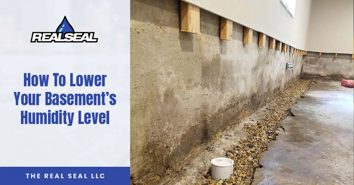 How To Lower Your Basement’s Humidity Level